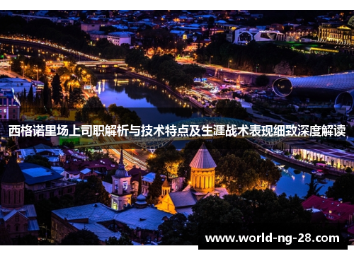 西格诺里场上司职解析与技术特点及生涯战术表现细致深度解读